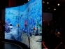 LG представила S-образный OLED-дисплей