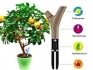 Приобретите Parrot Flower Power