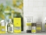 L'Occitane выпустил новую линию средств для мужчин