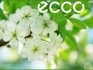 В ECCO скидка 25% на все хиты весенней коллекции!