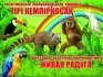 Впервые в городе Караганда уникальная выставка живых экзотических животных